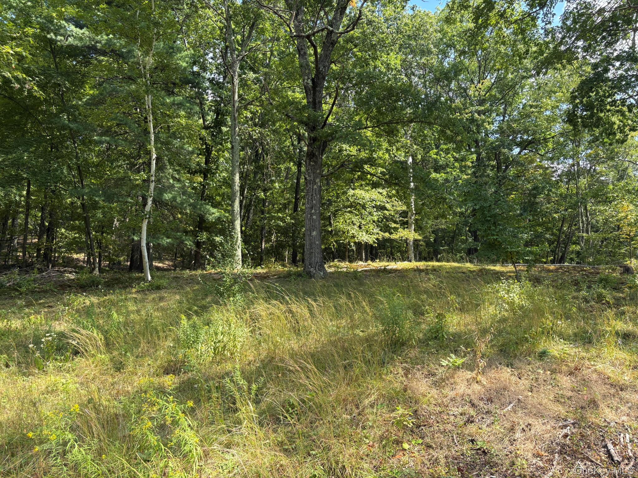 #4 photo, 42 E Pond Lilly Road, Ancram , NY 12502