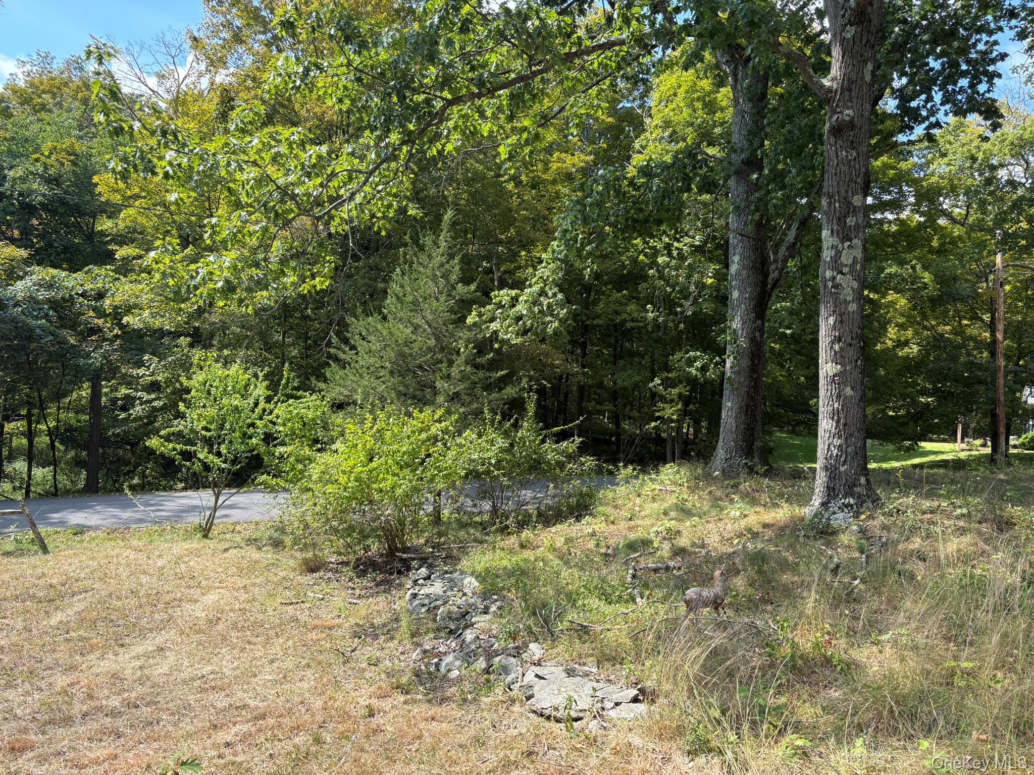 #6 photo, 42 E Pond Lilly Road, Ancram , NY 12502