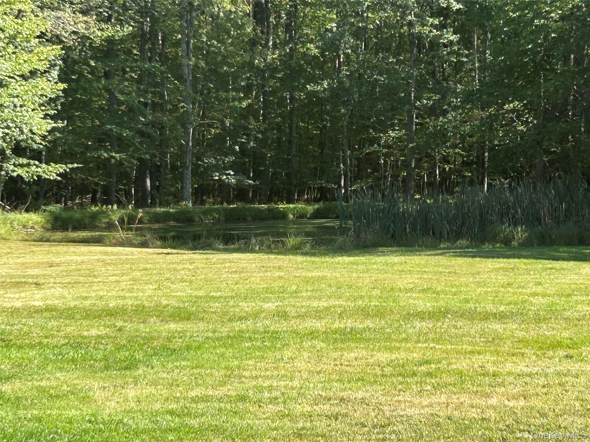 #20 photo, 486 County Road 114, Cochecton , NY 12726