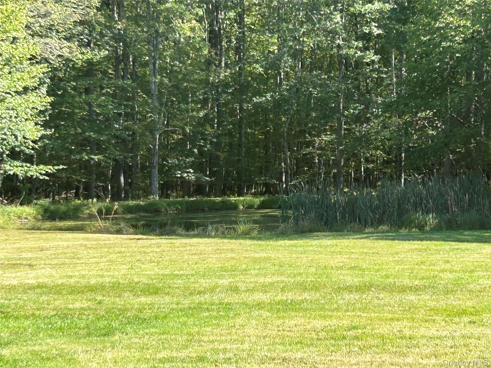 #4 photo, 486 County Road 114, Cochecton , NY 12726