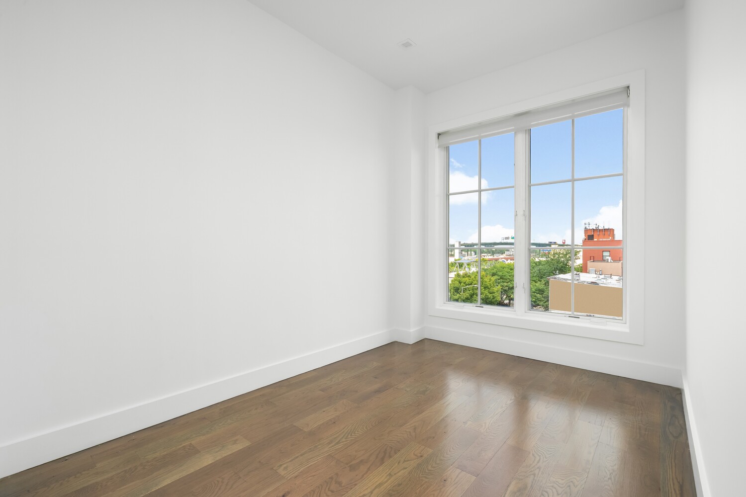 #4 photo, Brooklyn, Gowanus , NY 11215