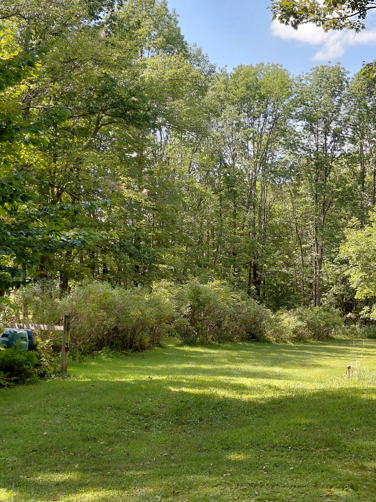 #10 photo, 455 Mussey Rd, Johnstown , NY 12095