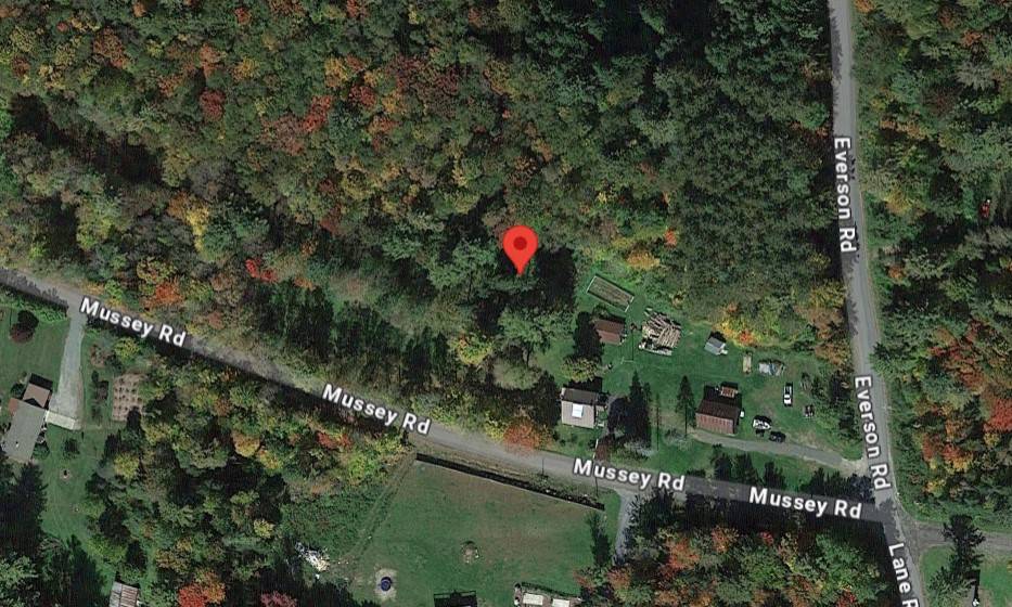 #43 photo, 455 Mussey Rd, Johnstown , NY 12095