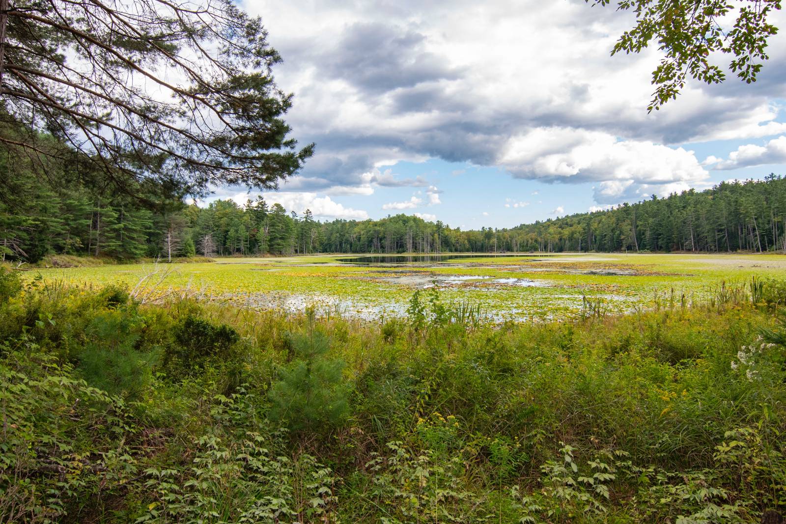 #2 photo, 39 Austin Pond Rd, North Creek , NY 12853