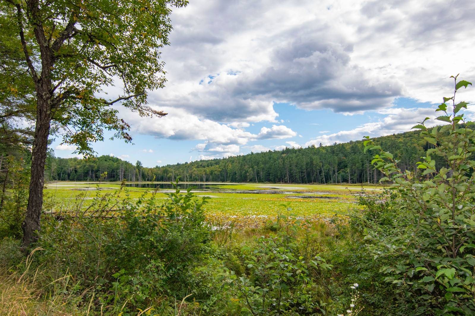 #50 photo, 39 Austin Pond Rd, North Creek , NY 12853