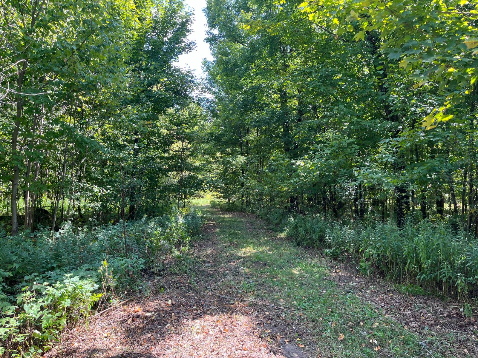 #23 photo, 875 Picketville Rd, Parishville , NY 13672