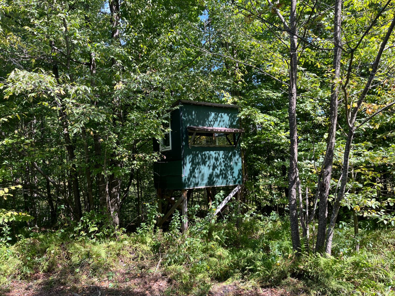 #25 photo, 875 Picketville Rd, Parishville , NY 13672