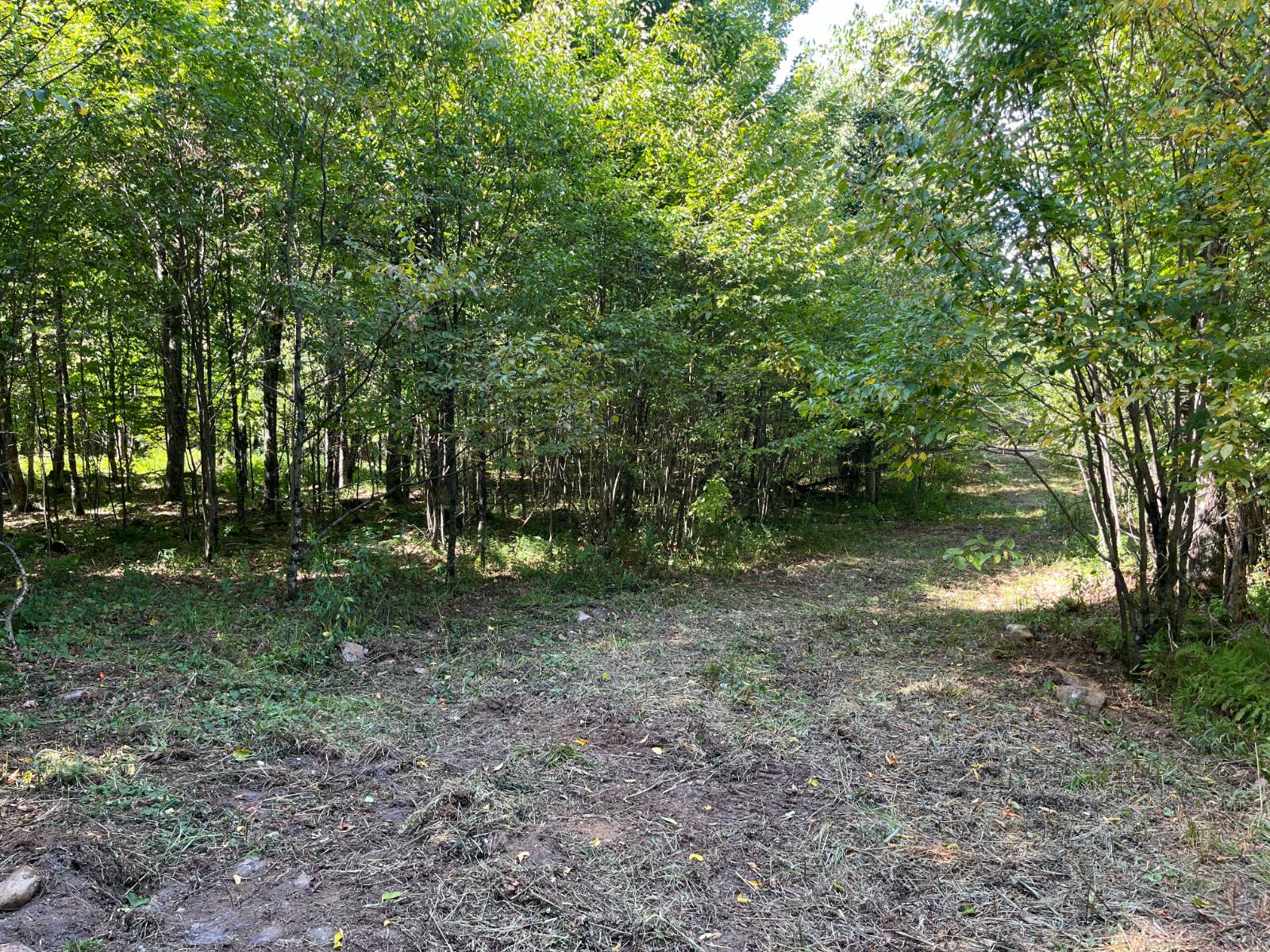 #26 photo, 875 Picketville Rd, Parishville , NY 13672