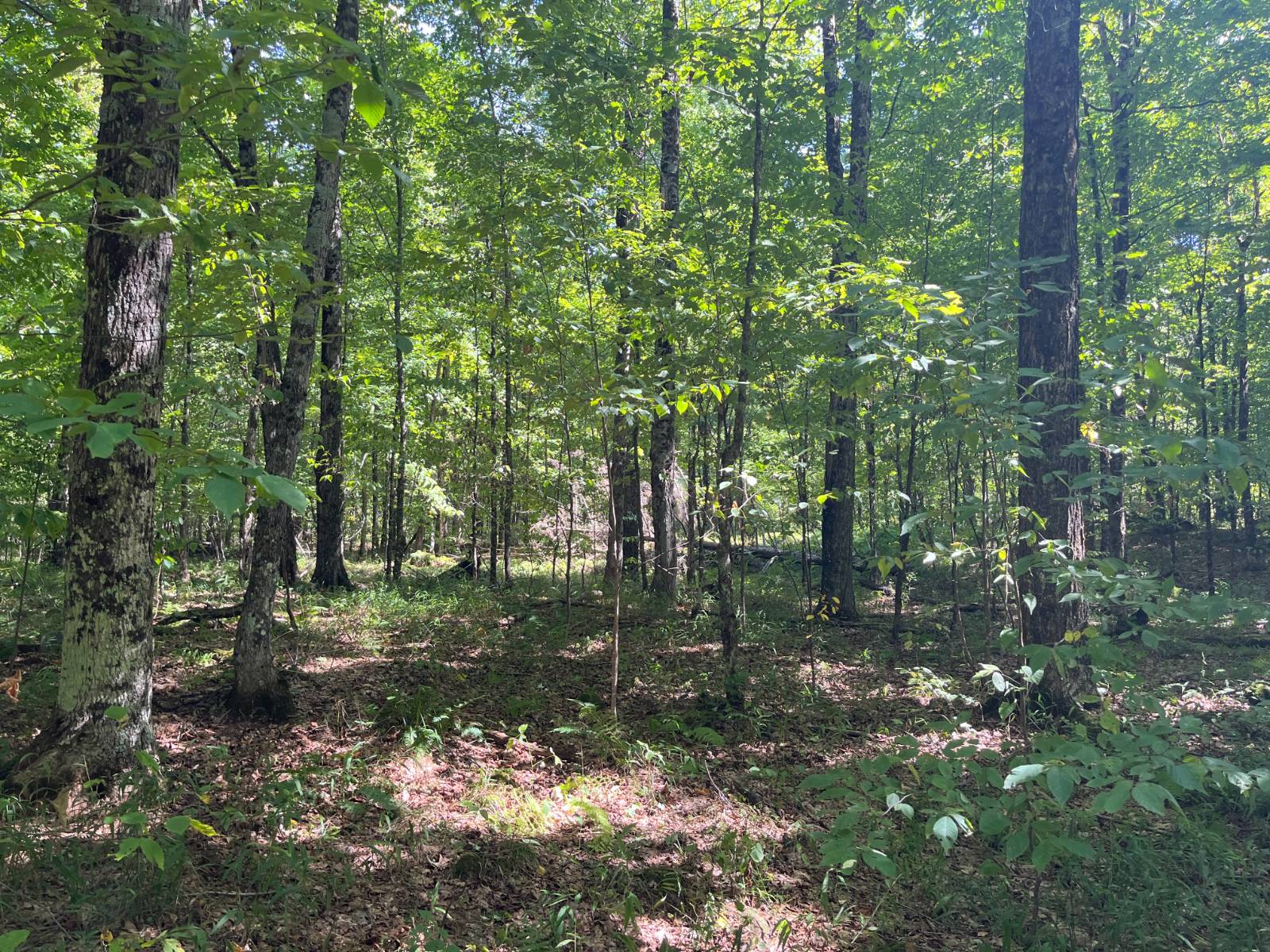 #27 photo, 875 Picketville Rd, Parishville , NY 13672