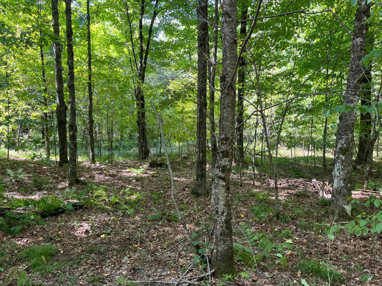 #28 photo, 875 Picketville Rd, Parishville , NY 13672