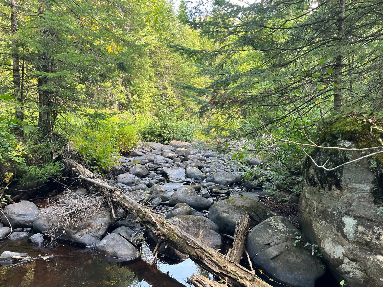 #29 photo, 875 Picketville Rd, Parishville , NY 13672