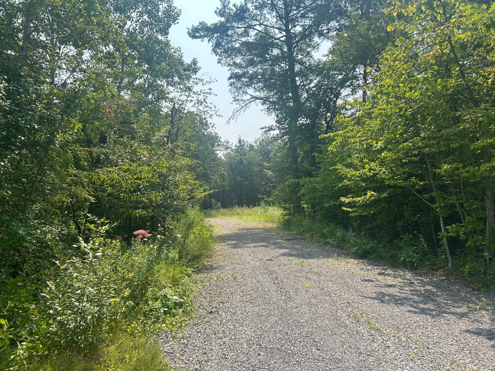 #3 photo, 00 Church Street, Fultonville , NY 12072