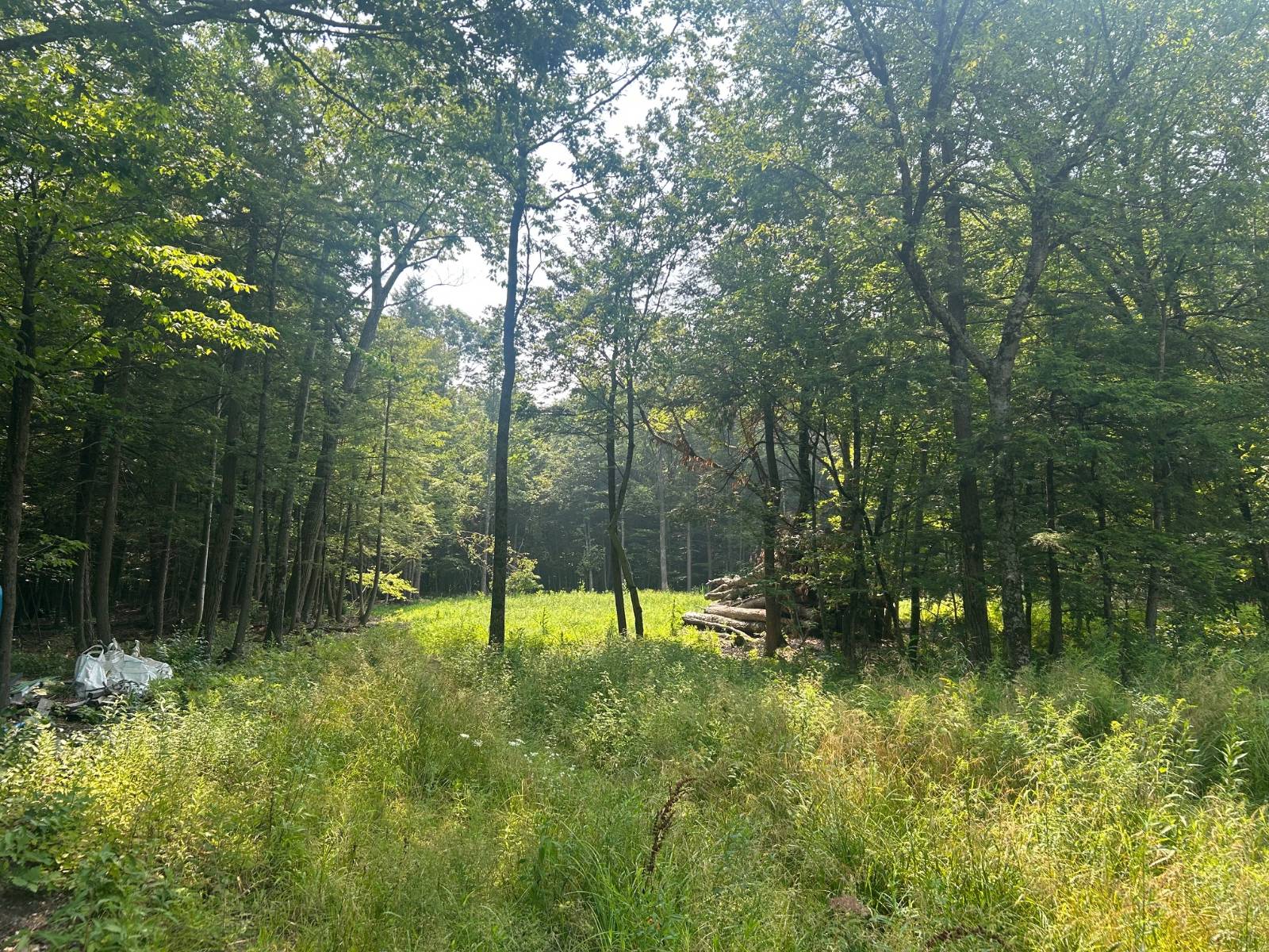 #4 photo, 00 Church Street, Fultonville , NY 12072