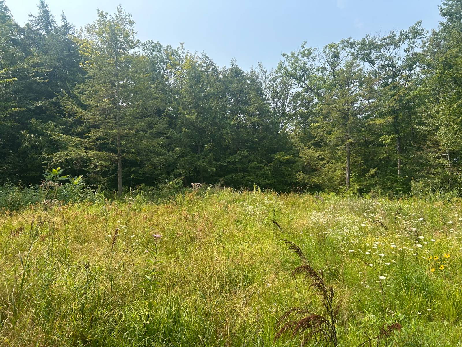 #5 photo, 00 Church Street, Fultonville , NY 12072