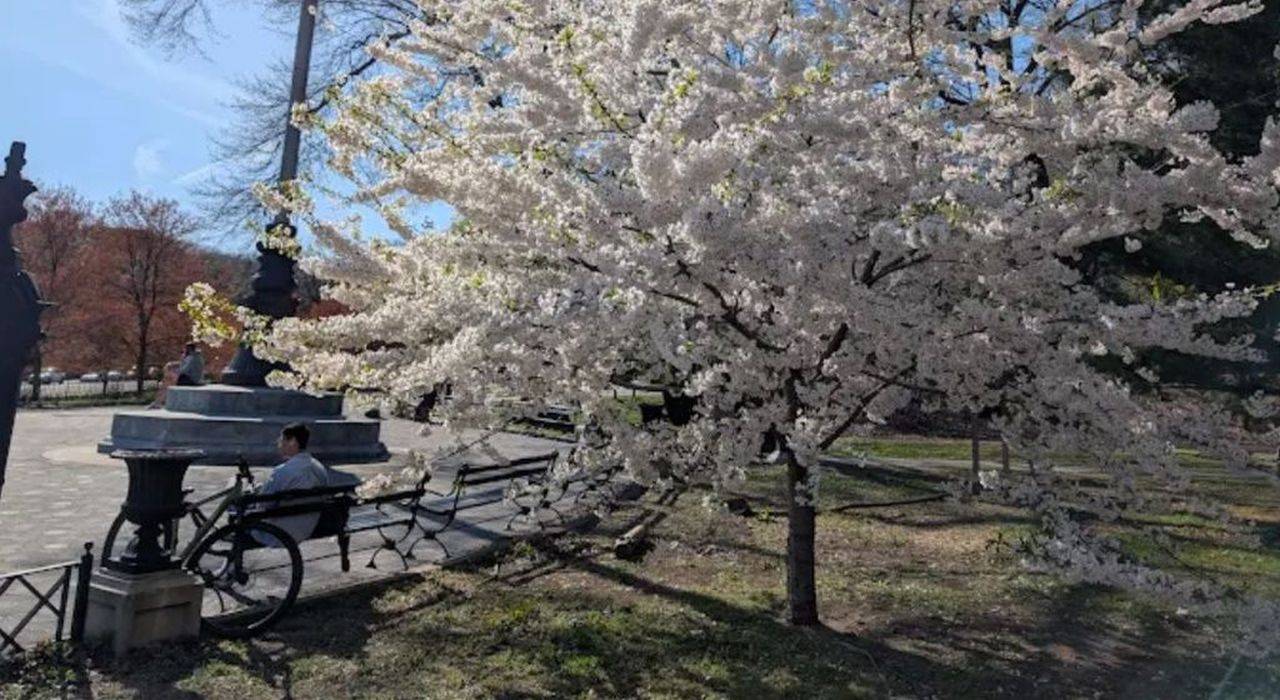 #27 photo, 118-82 Metropolitan Ave, Condo #1B, Kew Gardens , NY 11415