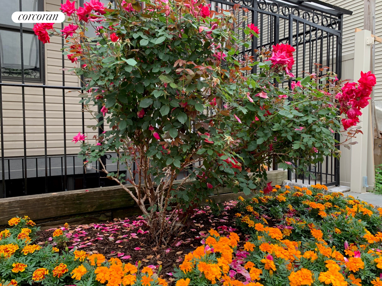 #10 photo, 84 MACDOUGAL Street, ブルックリン区 Stuyvesant Heights , NY 11233