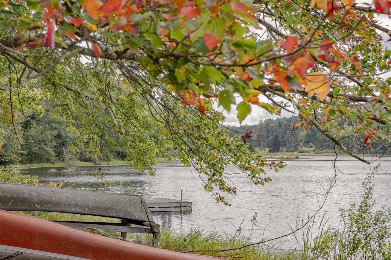 #2 photo, 108 Alexander Drive, Livingston Manor , NY 12758