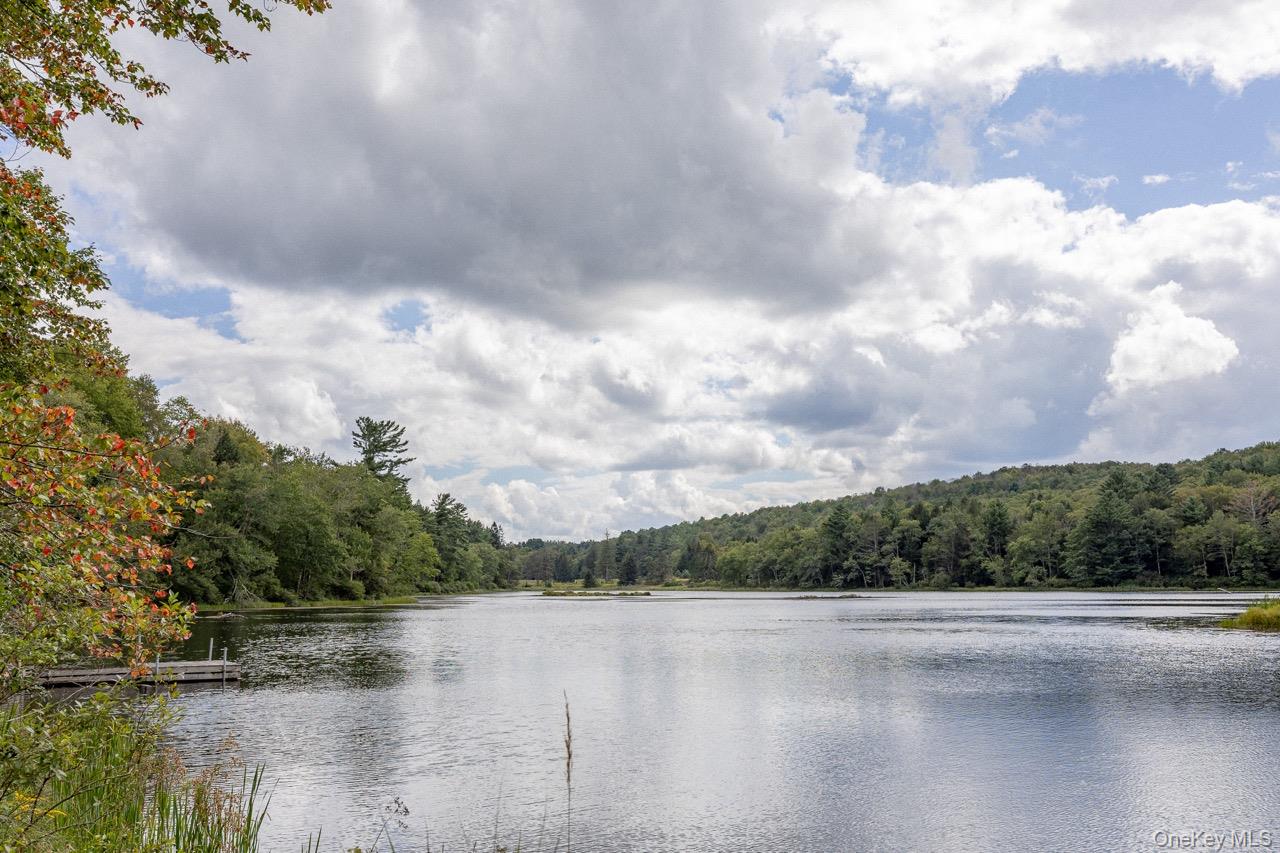 #3 photo, 108 Alexander Drive, Livingston Manor , NY 12758