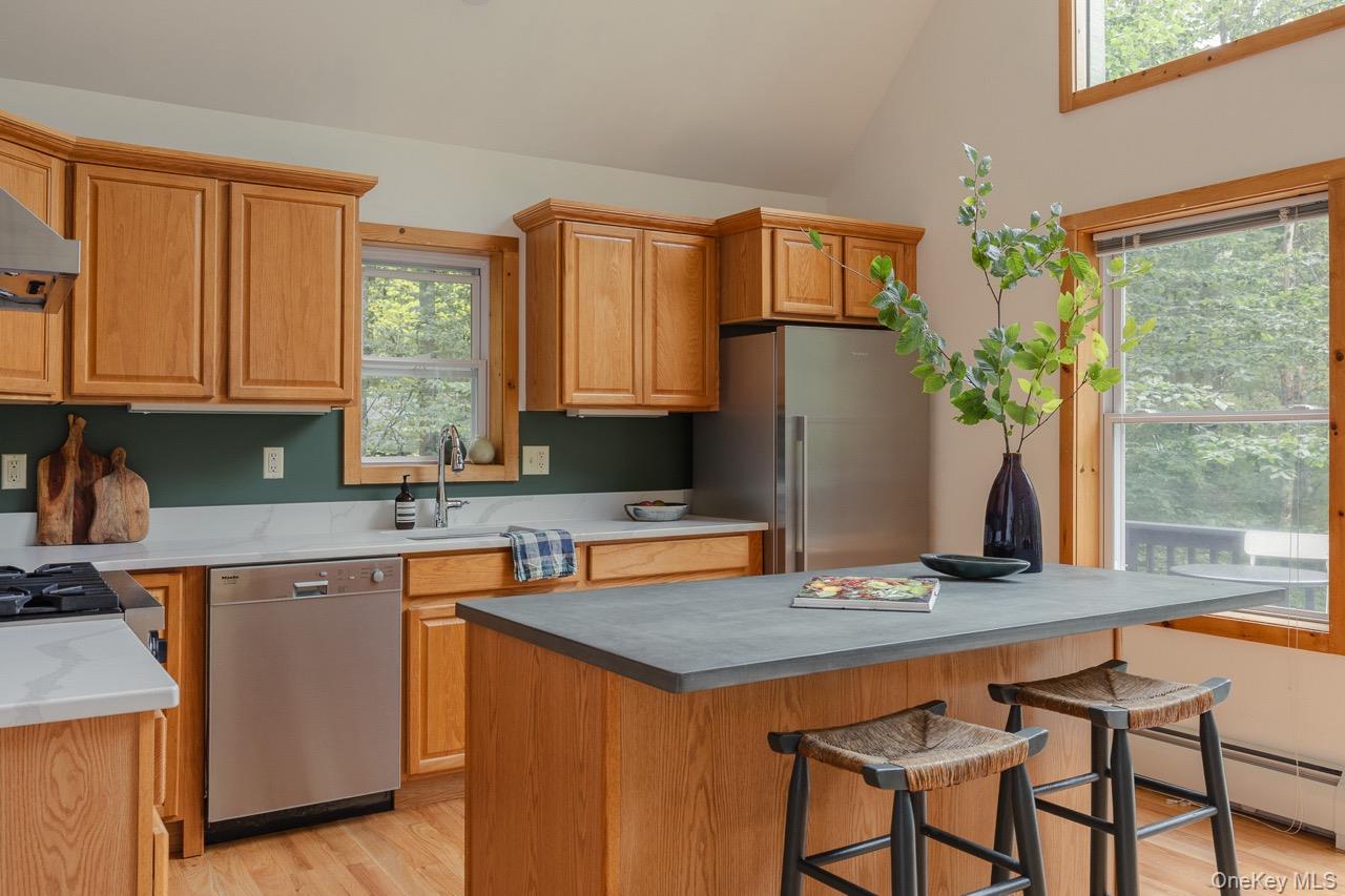 #5 photo, 108 Alexander Drive, Livingston Manor , NY 12758