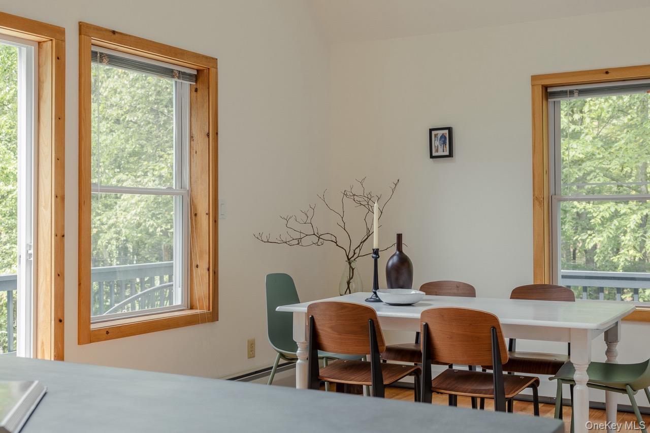 #9 photo, 108 Alexander Drive, Livingston Manor , NY 12758