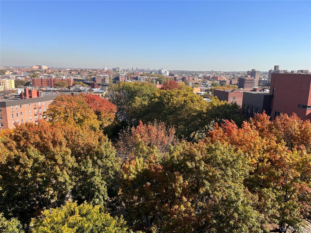 #3 photo, 39-60 54 Street, クイーンズ区 Woodside , NY 11377