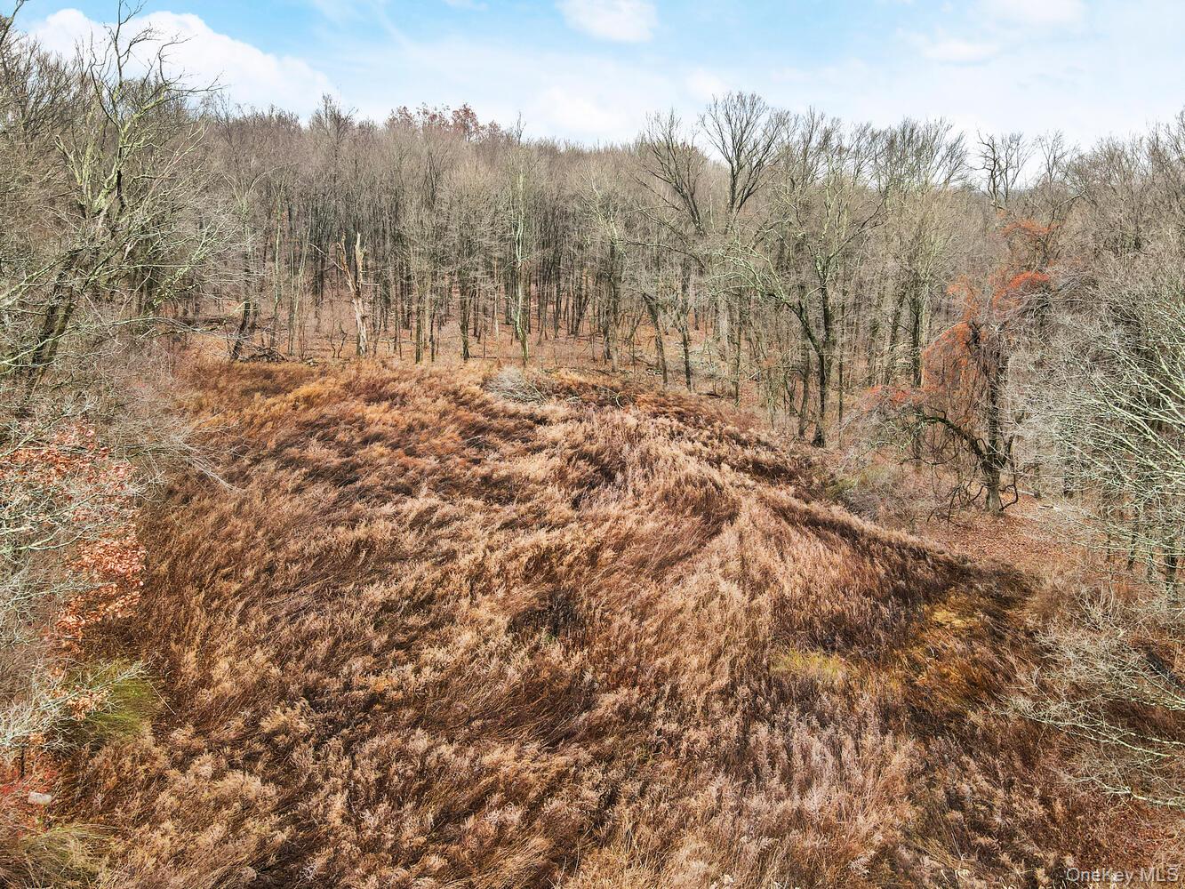 #5 photo, Cottage Place, Granite Springs , NY 10527