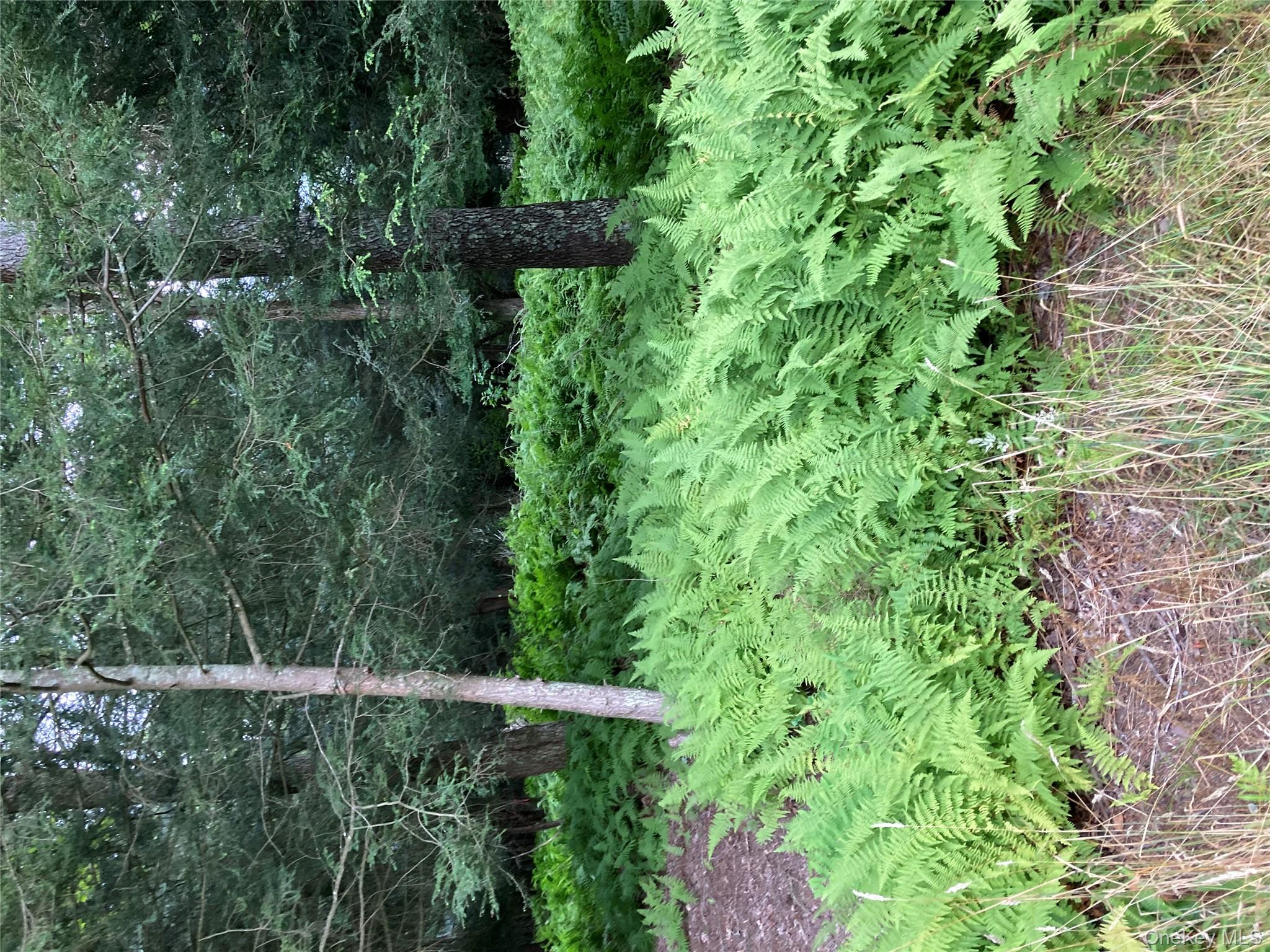 #4 photo, Jaketown Road, Monticello , NY 