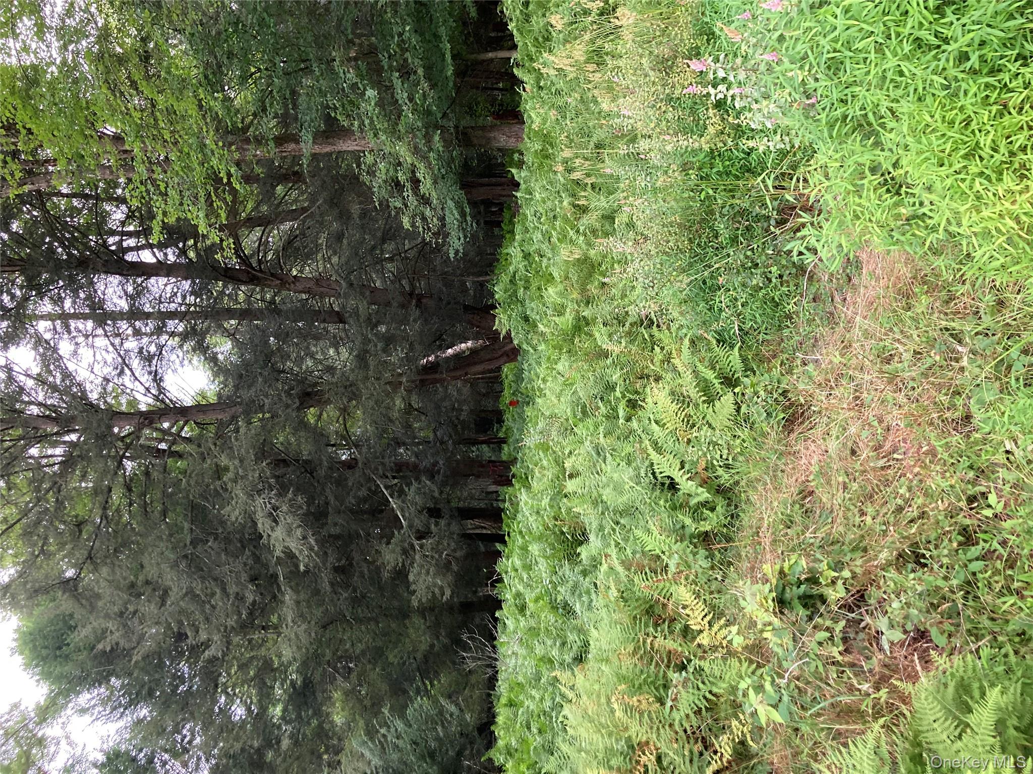 #5 photo, Jaketown Road, Monticello , NY 