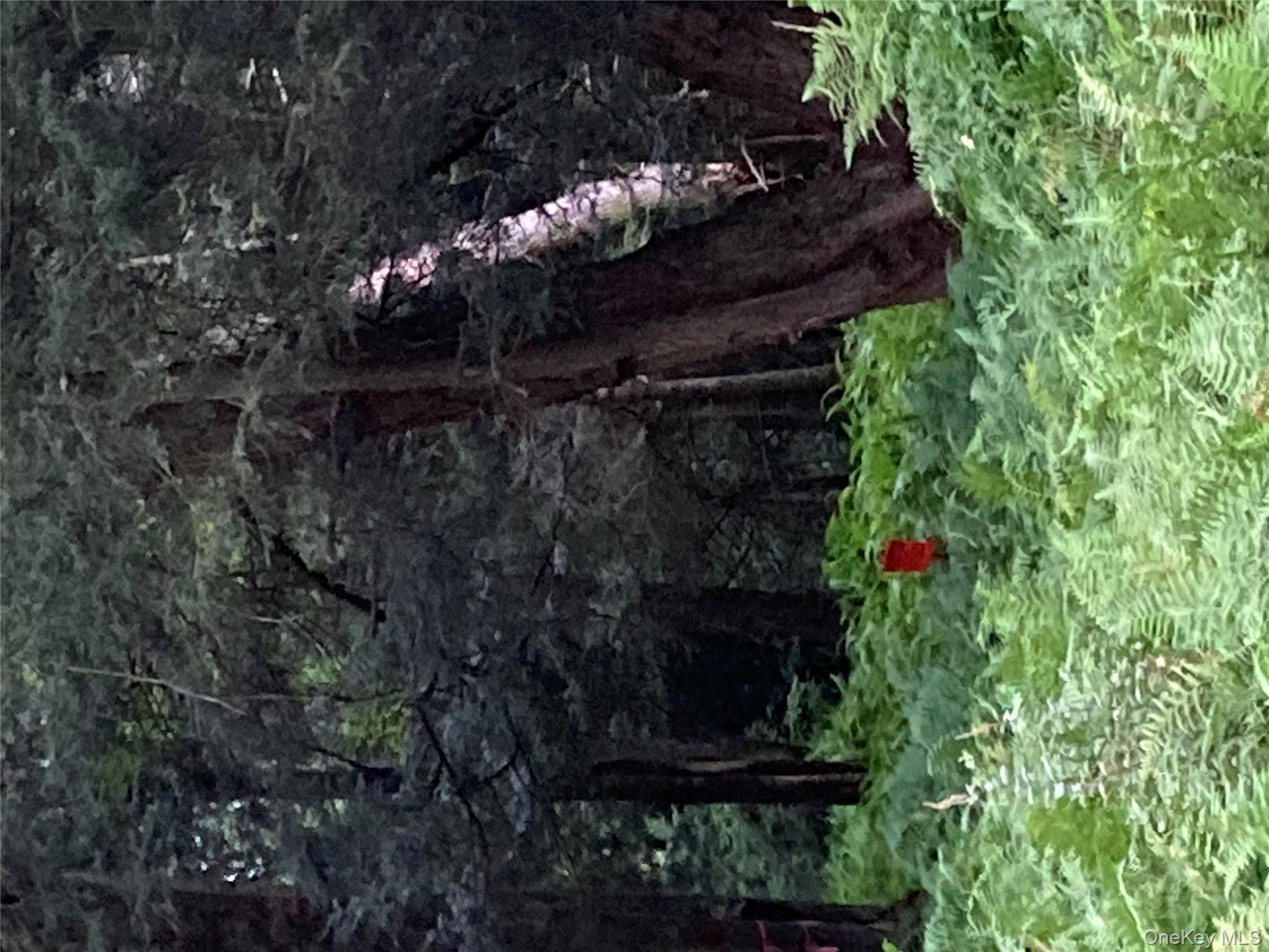 #6 photo, Jaketown Road, Monticello , NY 