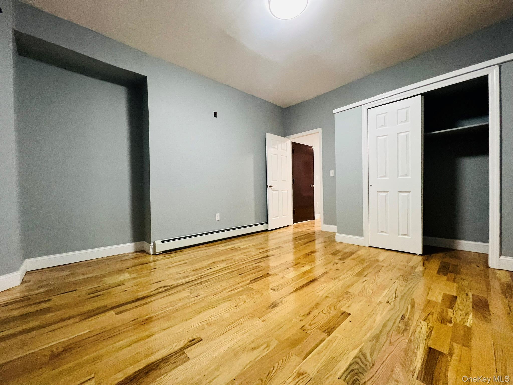 #4 photo, 165 chestnut street, Brooklyn , NY 11208