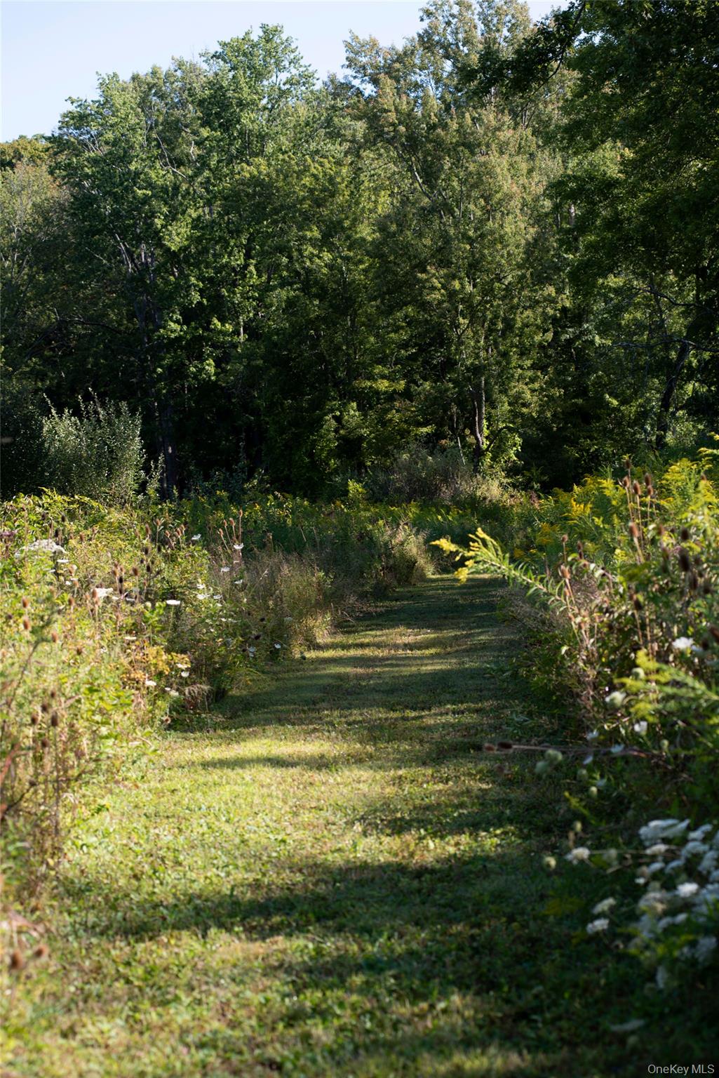 #14 photo, 78 Waldorf Ridge Road, Copake , NY 12516