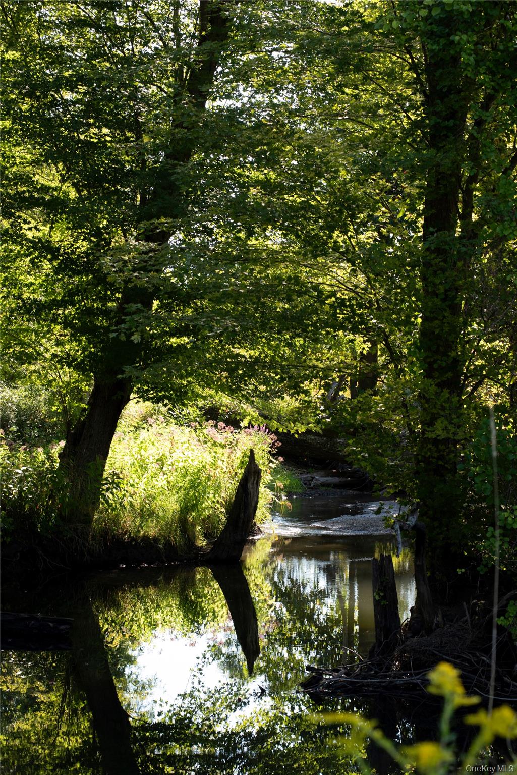 #15 photo, 78 Waldorf Ridge Road, Copake , NY 12516