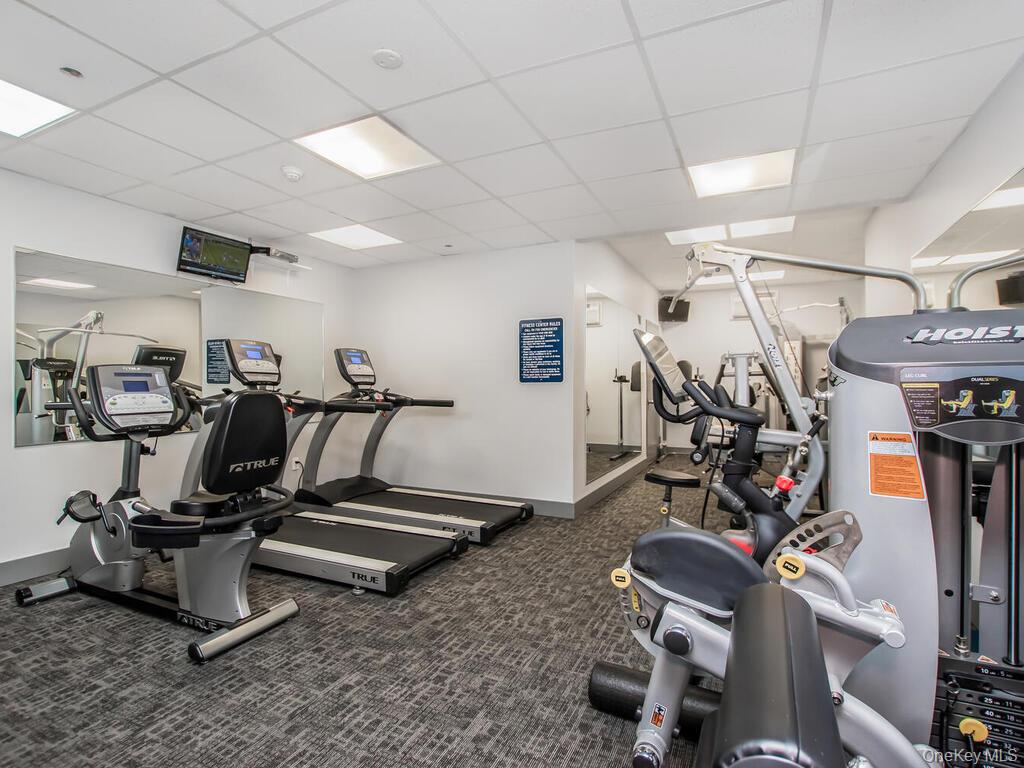 #19 photo, 23 Water Grant Street, 纽约州 Yonkers , NY 10701