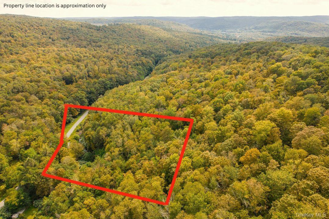 #2 photo, 175 Elm Hollow Road, Livingston Manor , NY 12758