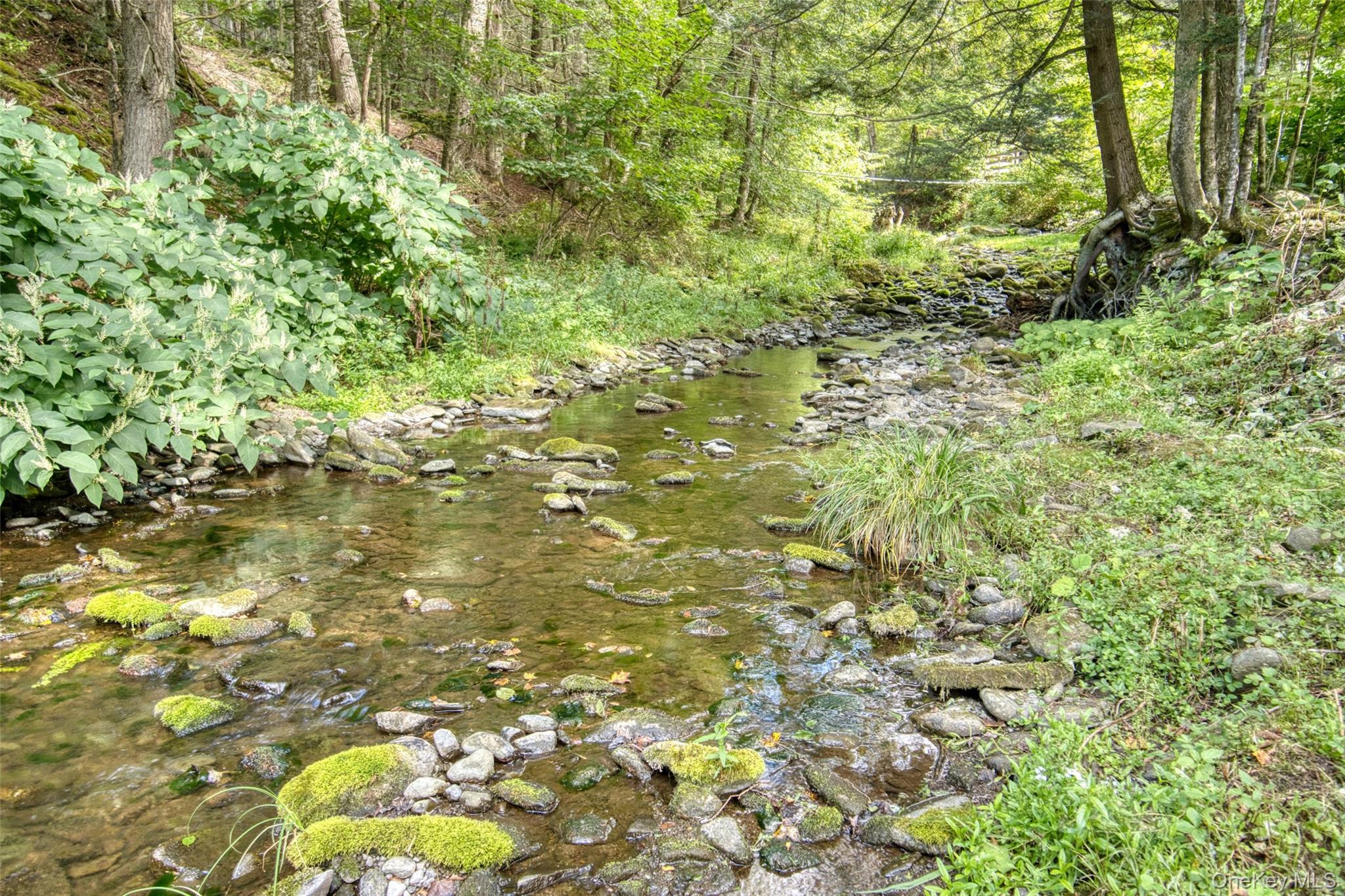 #3 photo, 175 Elm Hollow Road, Livingston Manor , NY 12758