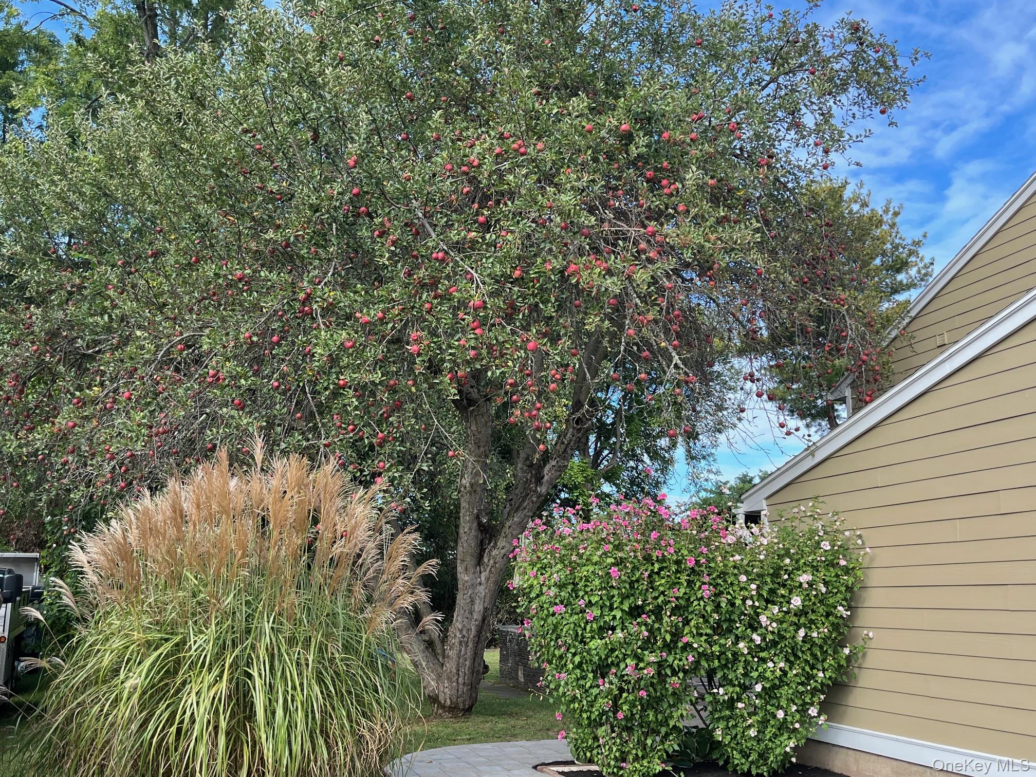 #4 photo, 70 Stahlman Place, Kingston , NY 12401