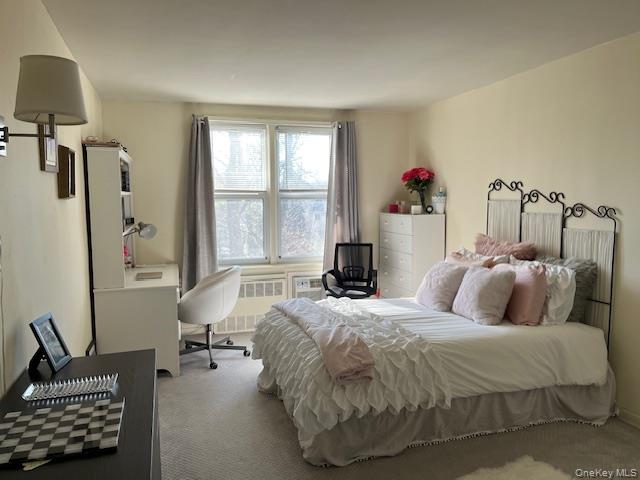 #1 photo, 241-20 NORTHERN BOULEVARD, كوينز Douglaston , NY 11362