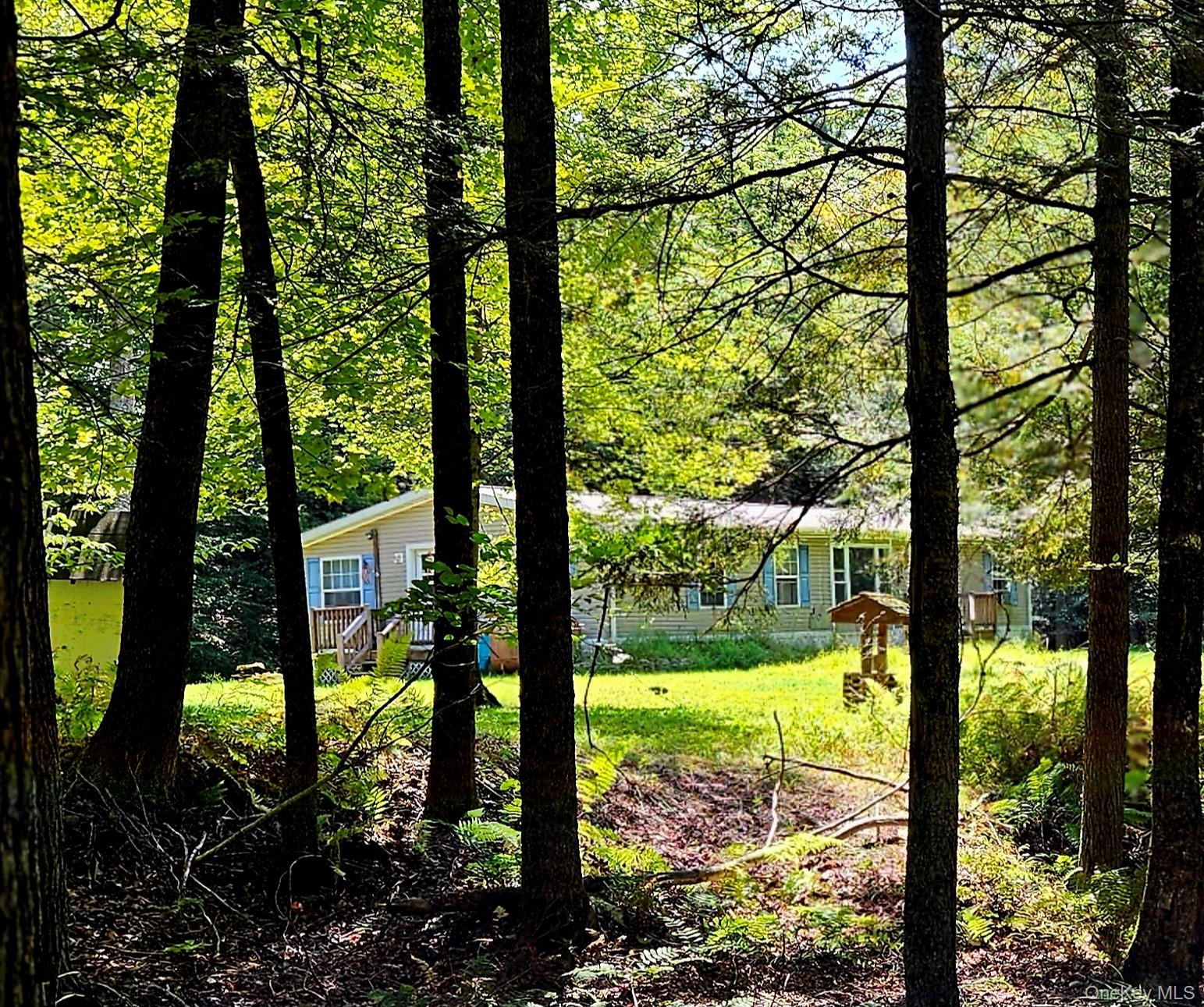 #4 photo, 168 Cr 94, Fremont , NY 12723