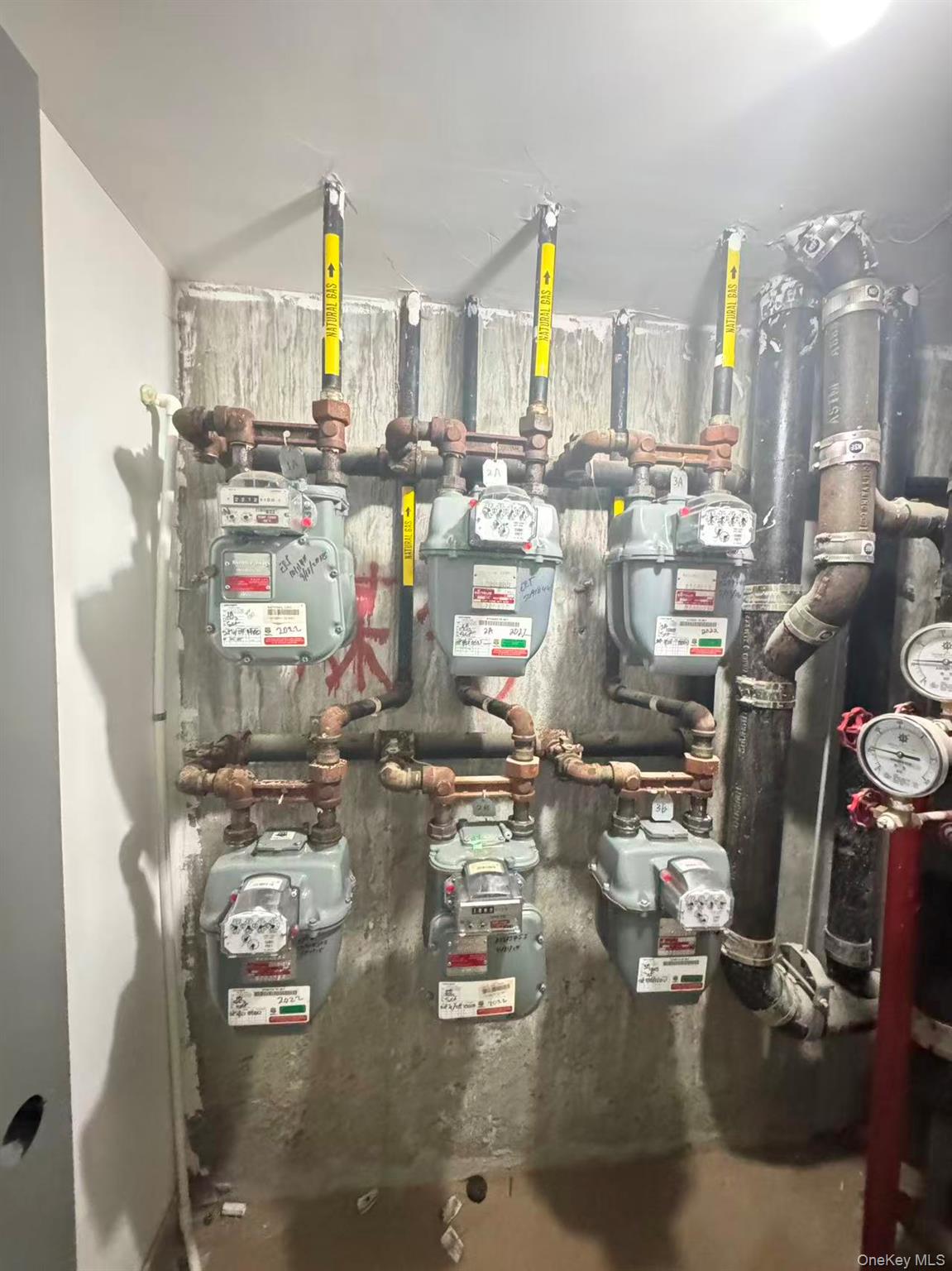 #7 photo, 90-17 56th Avenue, Flushing , NY 11373