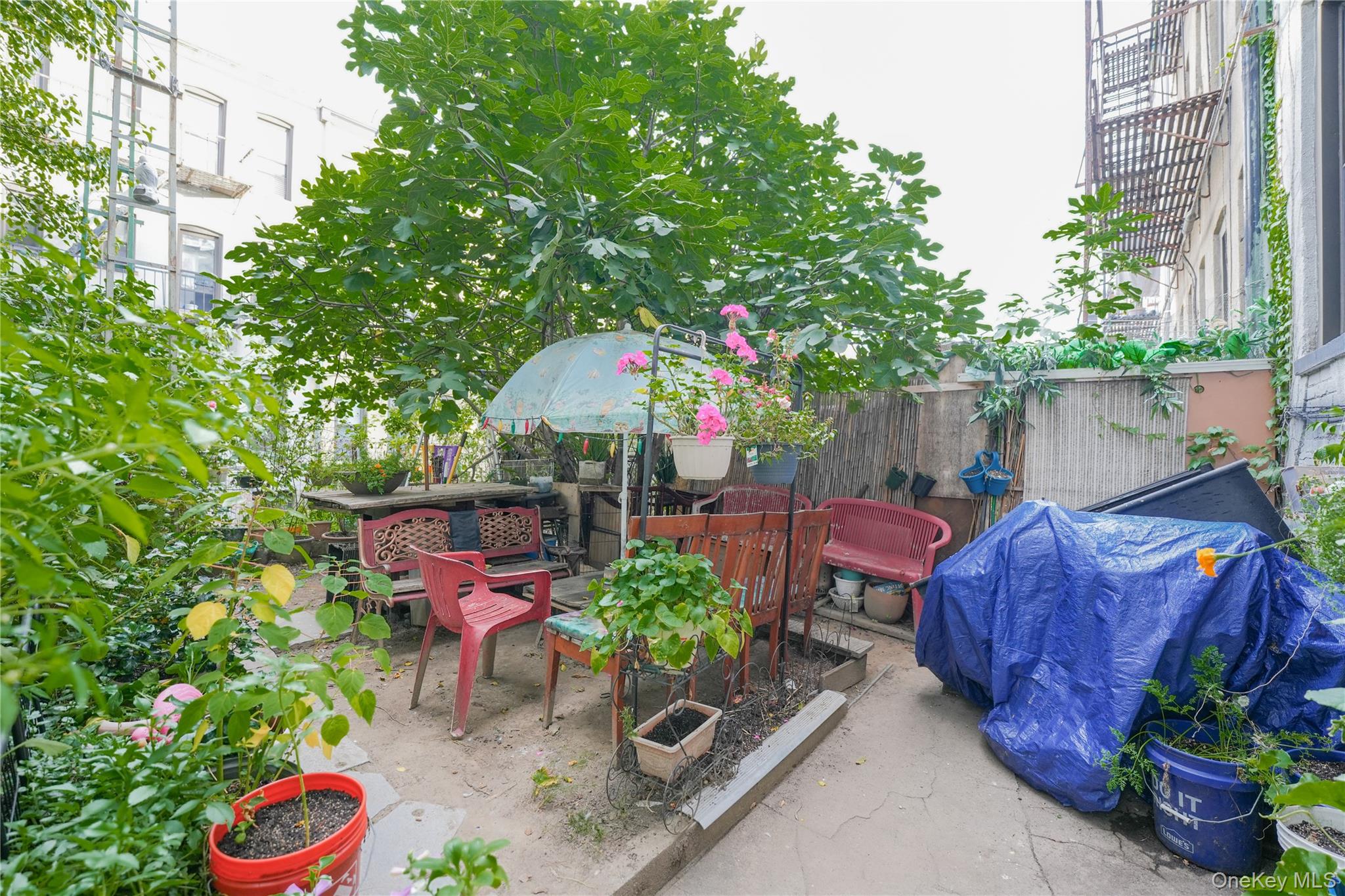 #14 photo, 2042 Gates Avenue, Ridgewood , NY 11385