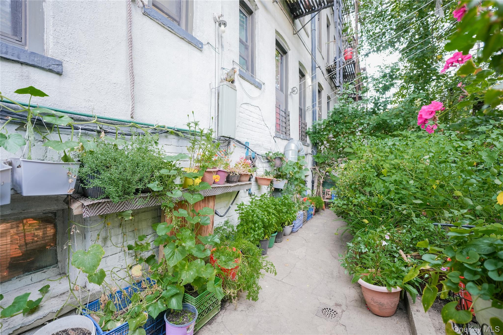 #5 photo, 2042 Gates Avenue, Ridgewood , NY 11385