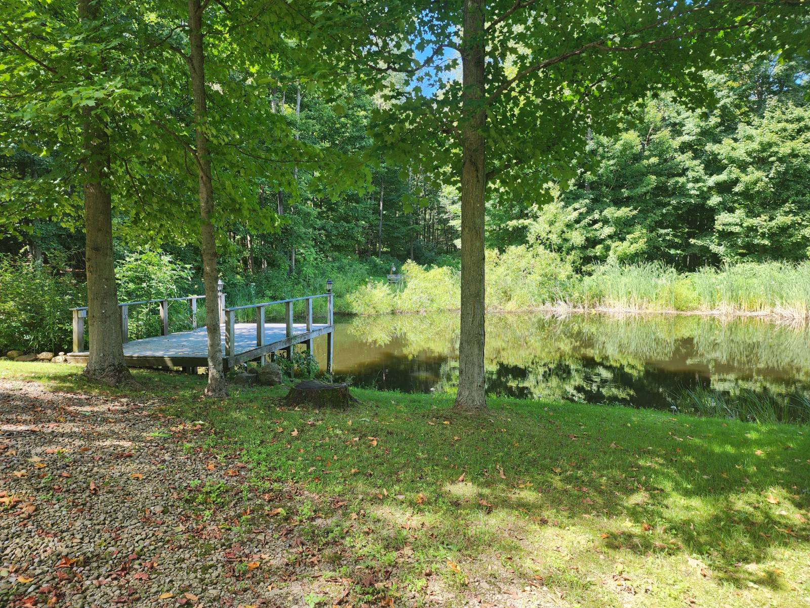 #8 photo, 8919 Kidder Rd, Sherman , NY 14781