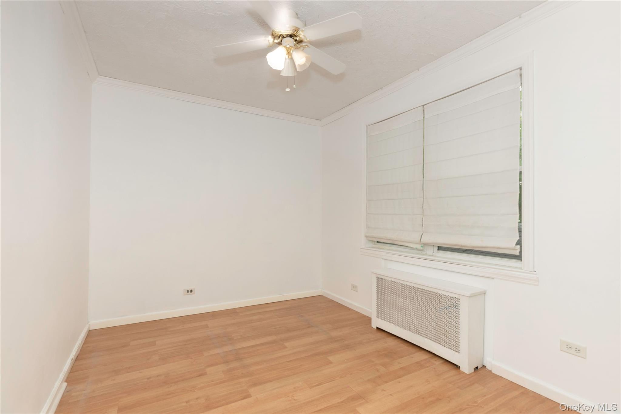 #10 photo, 810 Clarence Avenue, Bronx , NY 10465