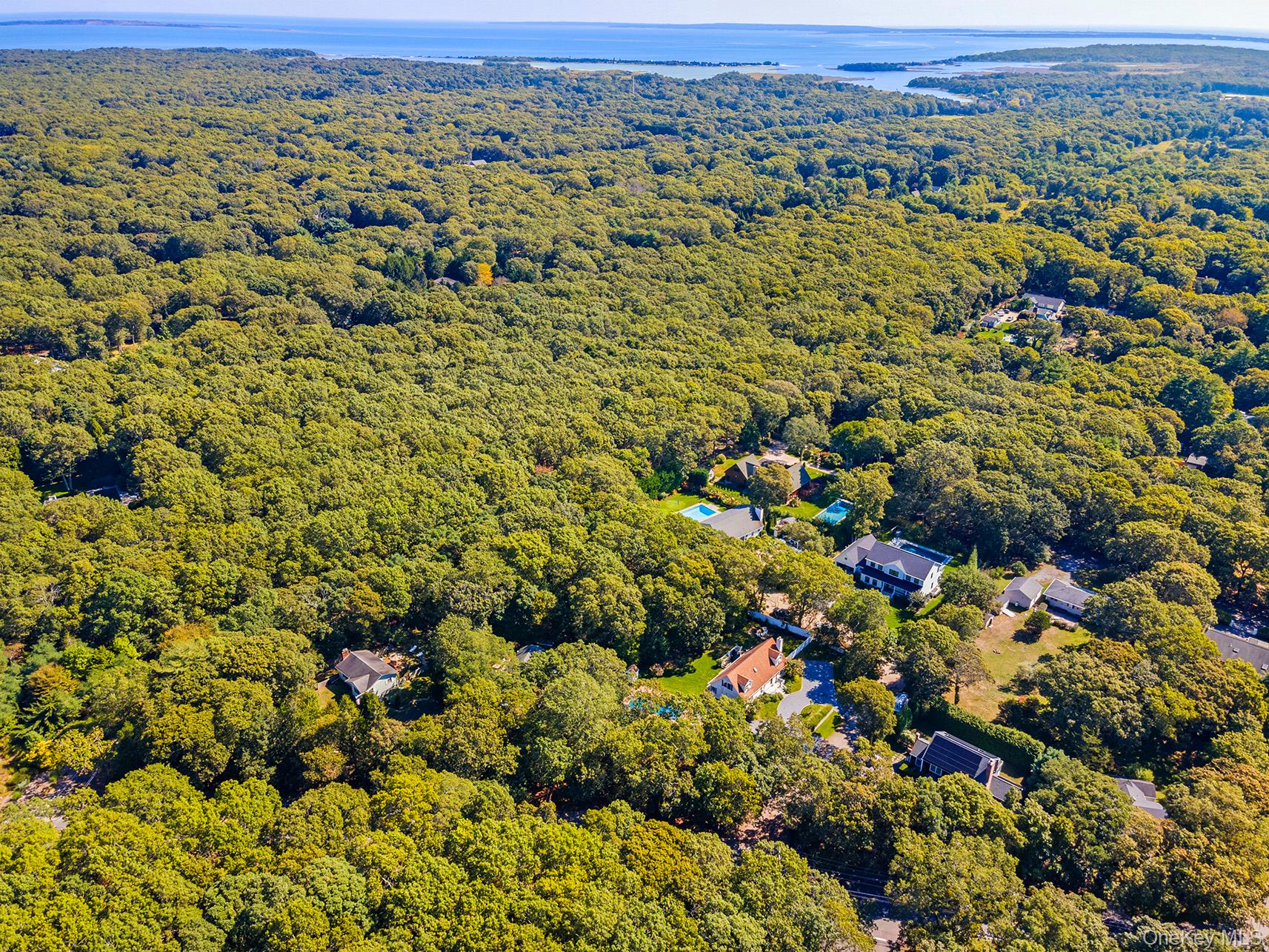 #16 photo, 4 Calvin Street, サフォーク郡 East Hampton , NY 11937