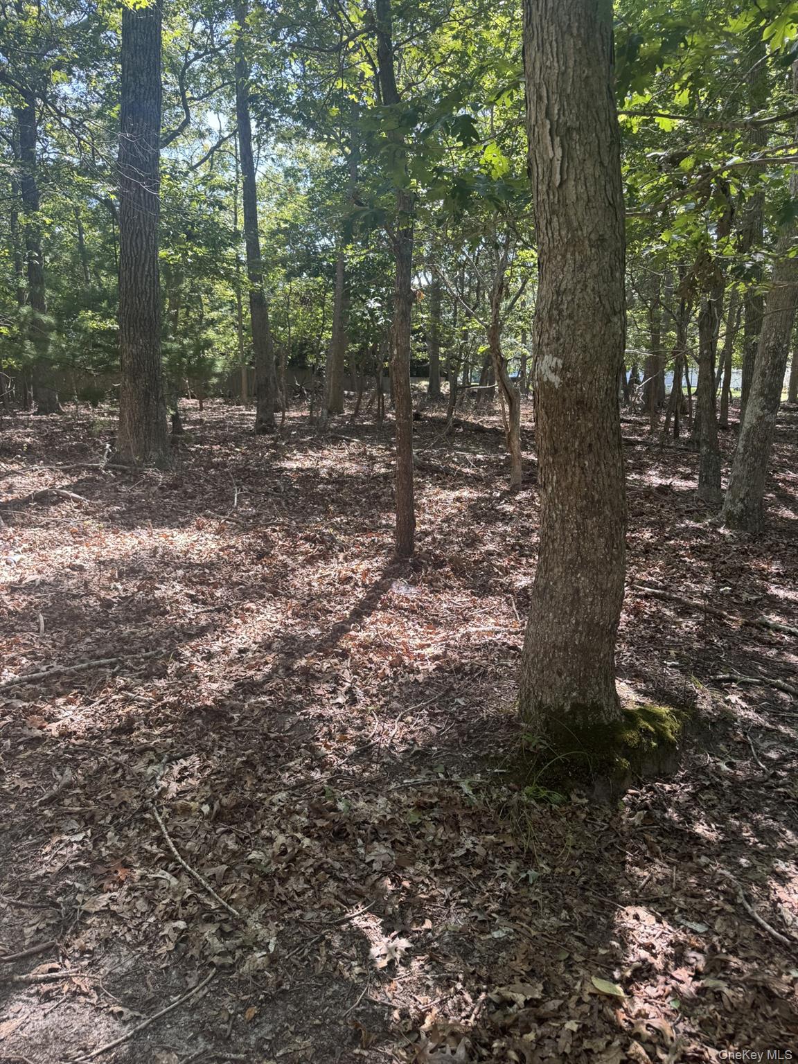 #4 photo, 4 Calvin Street, サフォーク郡 East Hampton , NY 11937