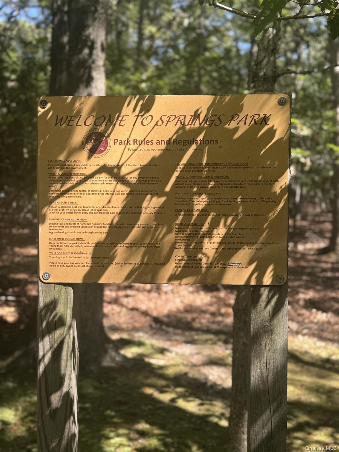 #6 photo, 4 Calvin Street, サフォーク郡 East Hampton , NY 11937