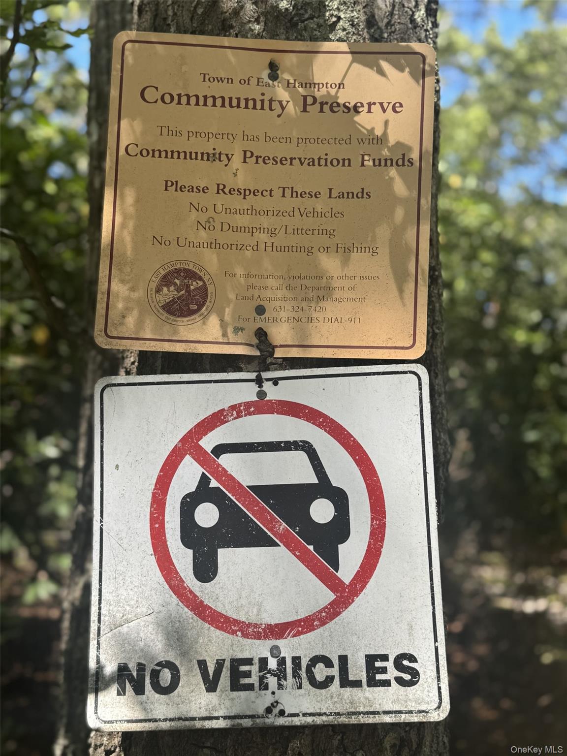 #7 photo, 4 Calvin Street, サフォーク郡 East Hampton , NY 11937