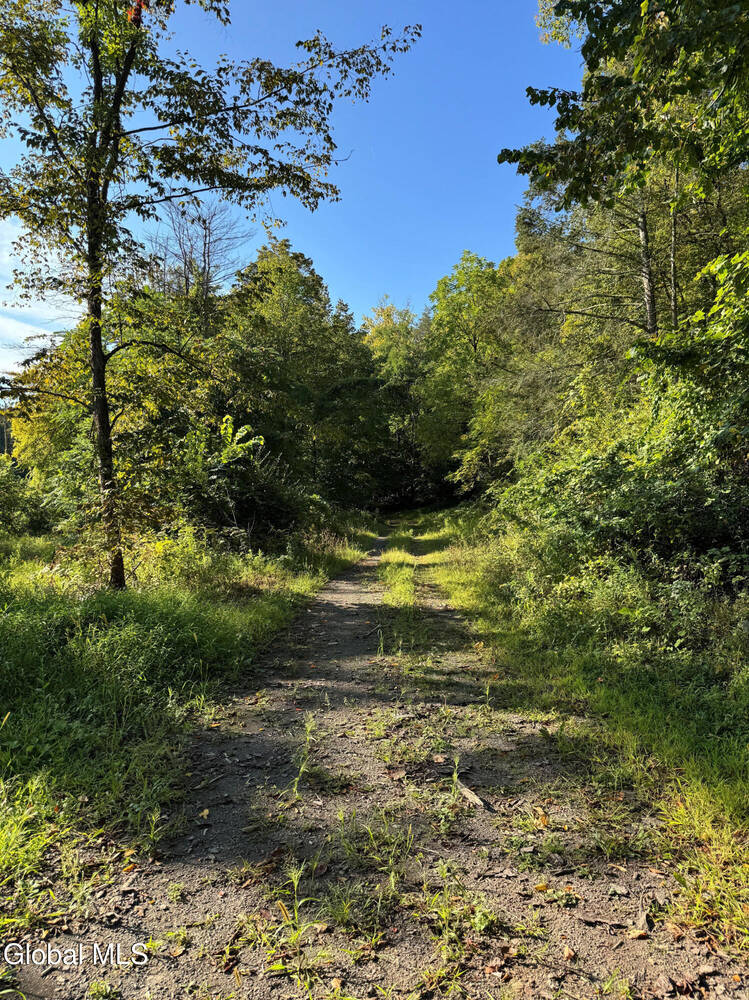 #3 photo, L2 High Rock Road, New Baltimore , NY 12087