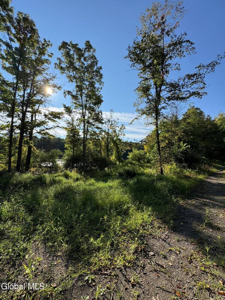 #4 photo, L2 High Rock Road, New Baltimore , NY 12087