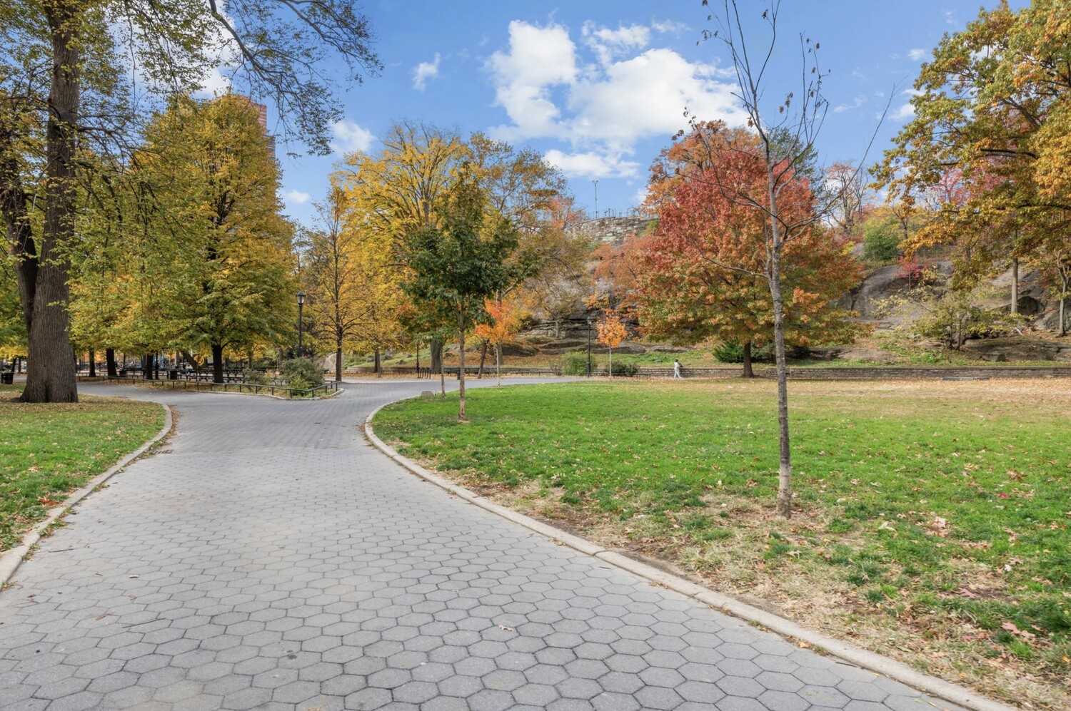 #12 photo, 1919 MADISON Avenue, South Harlem , NY 10035